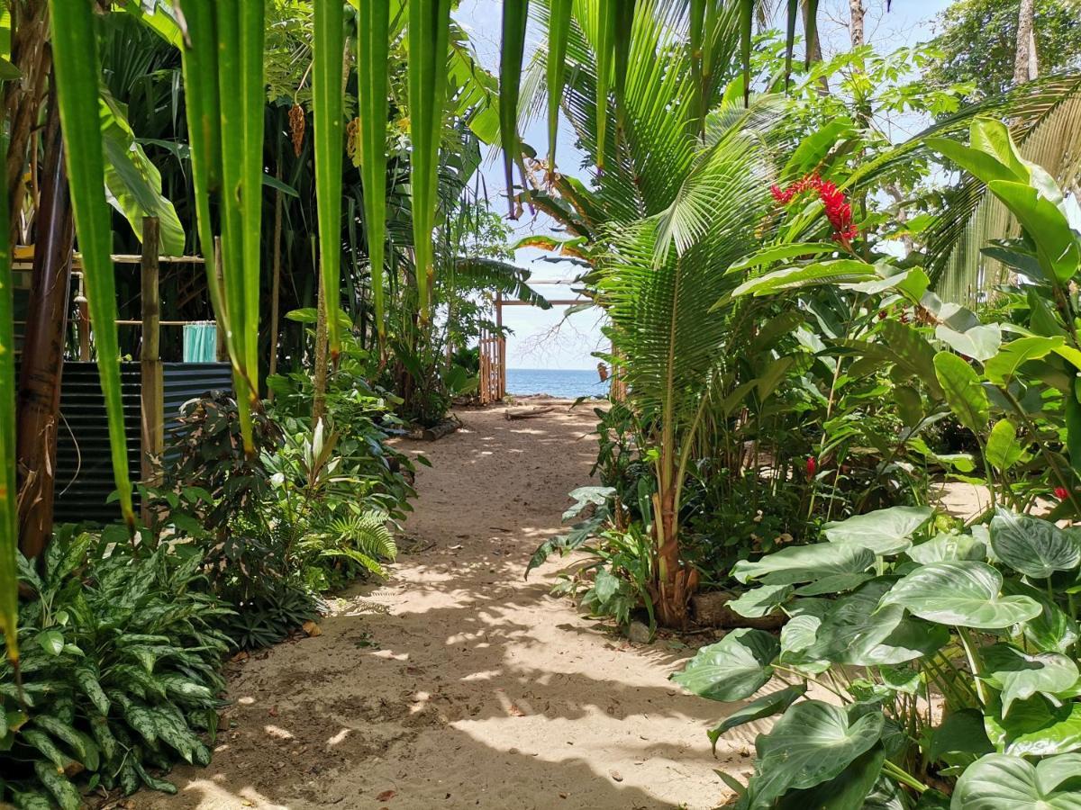 Oasis Beachfront Hostel Puerto Limon Bagian luar foto
