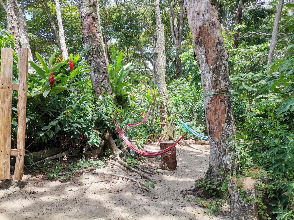 Oasis Beachfront Hostel Puerto Limon Bagian luar foto
