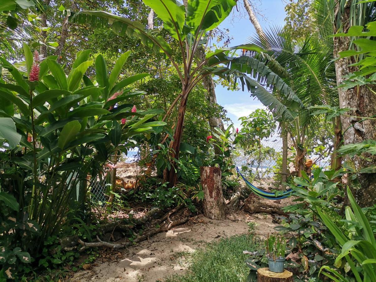 Oasis Beachfront Hostel Puerto Limon Bagian luar foto